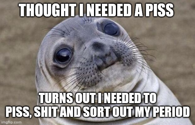 The Awkward Life of a Girl (not a true story). No period shaming in comments please | THOUGHT I NEEDED A PISS; TURNS OUT I NEEDED TO PISS, SHIT AND SORT OUT MY PERIOD | image tagged in memes,awkward moment sealion,periods,shit,piss,why are you reading the tags | made w/ Imgflip meme maker