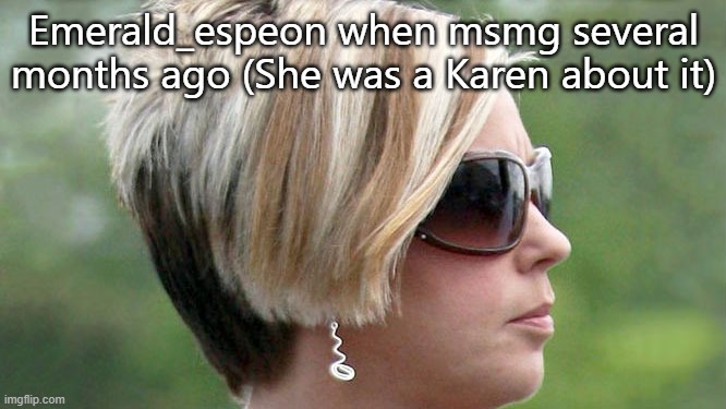 User slander #7 | Emerald_espeon when msmg several months ago (She was a Karen about it) | image tagged in karen | made w/ Imgflip meme maker