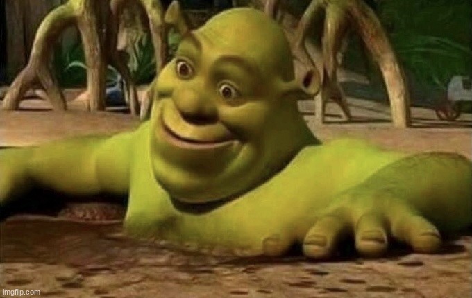 Shocked Shrek | image tagged in shocked shrek | made w/ Imgflip meme maker