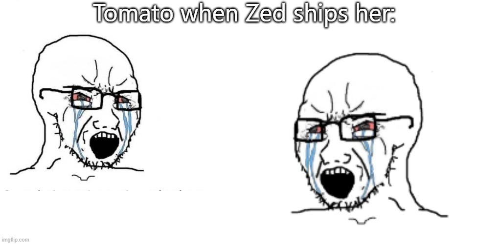 User Slander #11 | Tomato when Zed ships her: | image tagged in soyboy vs yes chad | made w/ Imgflip meme maker