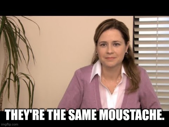 They're the same picture | THEY'RE THE SAME MOUSTACHE. | image tagged in they're the same picture | made w/ Imgflip meme maker