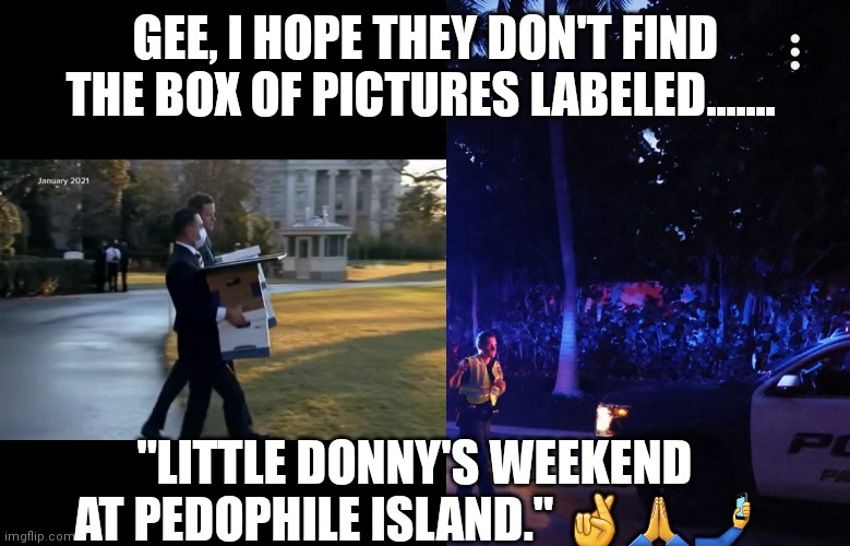 Little Donny's Weekend | GEE, I HOPE THEY DON'T FIND THE BOX OF PICTURES LABELED....... "LITTLE DONNY'S WEEKEND AT PEDOPHILE ISLAND." 🤞🙏🤳 | image tagged in donaldtrump | made w/ Imgflip meme maker