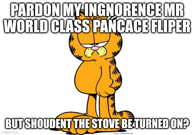 Grumpy Garfield | PARDON MY INGNORENCE MR WORLD CLASS PANCACE FLIPER BUT SHOUDENT THE STOVE BE TURNED ON? | image tagged in grumpy garfield | made w/ Imgflip meme maker
