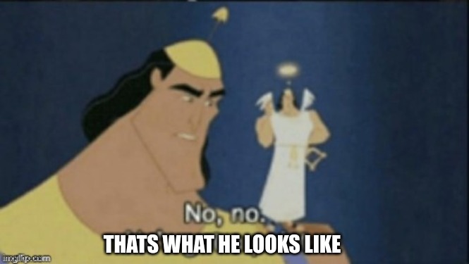 no no hes got a point | THATS WHAT HE LOOKS LIKE | image tagged in no no hes got a point | made w/ Imgflip meme maker