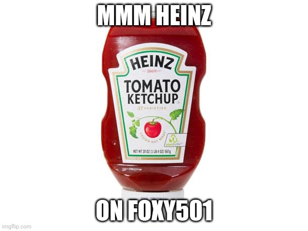 A Totally Standard Meme | MMM HEINZ; ON FOXY501 | image tagged in memes,ketchup | made w/ Imgflip meme maker