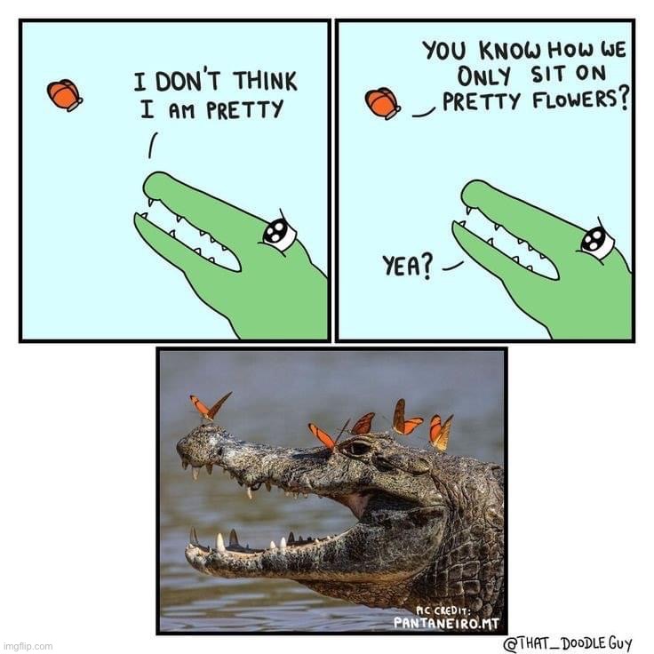 Wholesome crocodile comic | image tagged in wholesome crocodile comic | made w/ Imgflip meme maker