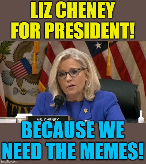 Totally not part of the establishment and not at all corrupt and bought out! | LIZ CHENEY FOR PRESIDENT! BECAUSE WE NEED THE MEMES! | image tagged in liz cheney,political meme,president,election 2024 | made w/ Imgflip meme maker