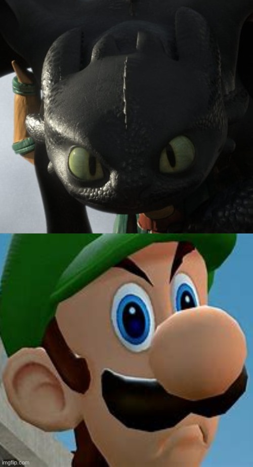 Toothless vs Luigi Death Staring contest | image tagged in toothless death stare httyd,death stare,luigi,toothless,how to train your dragon,mario | made w/ Imgflip meme maker