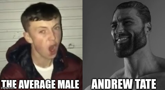 Breath Air | THE AVERAGE MALE; ANDREW TATE | image tagged in average enjoyer meme | made w/ Imgflip meme maker