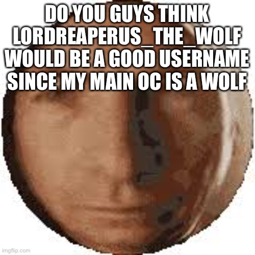 Ball goodman | DO YOU GUYS THINK LORDREAPERUS_THE_WOLF WOULD BE A GOOD USERNAME SINCE MY MAIN OC IS A WOLF | image tagged in ball goodman | made w/ Imgflip meme maker