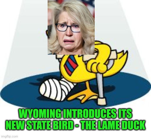 Quack | WYOMING INTRODUCES ITS NEW STATE BIRD - THE LAME DUCK | image tagged in wyoming | made w/ Imgflip meme maker