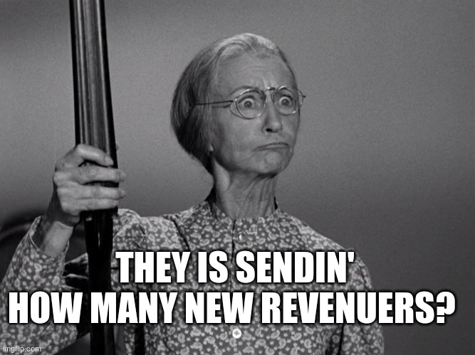 Granny vs revenuers | THEY IS SENDIN' HOW MANY NEW REVENUERS? | image tagged in granny,beverly hillbillies,millionaires,87000,irs | made w/ Imgflip meme maker