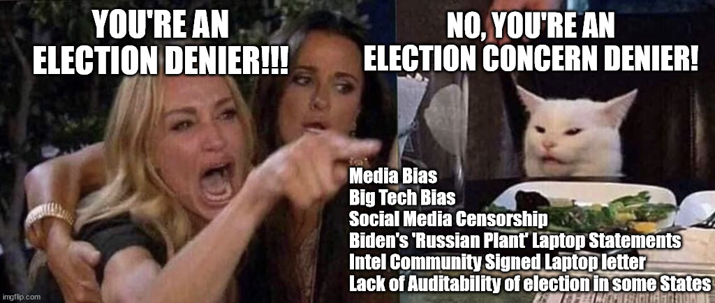 Expressing concerns about our election system does not make you an 'Election denier!!' | YOU'RE AN ELECTION DENIER!!! NO, YOU'RE AN ELECTION CONCERN DENIER! Media Bias
Big Tech Bias
Social Media Censorship
Biden's 'Russian Plant' Laptop Statements 
Intel Community Signed Laptop letter 
Lack of Auditability of election in some States | image tagged in woman yelling at cat,election 2020 | made w/ Imgflip meme maker