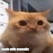 not imgflip, just mematic | made with mematic | made w/ Imgflip meme maker