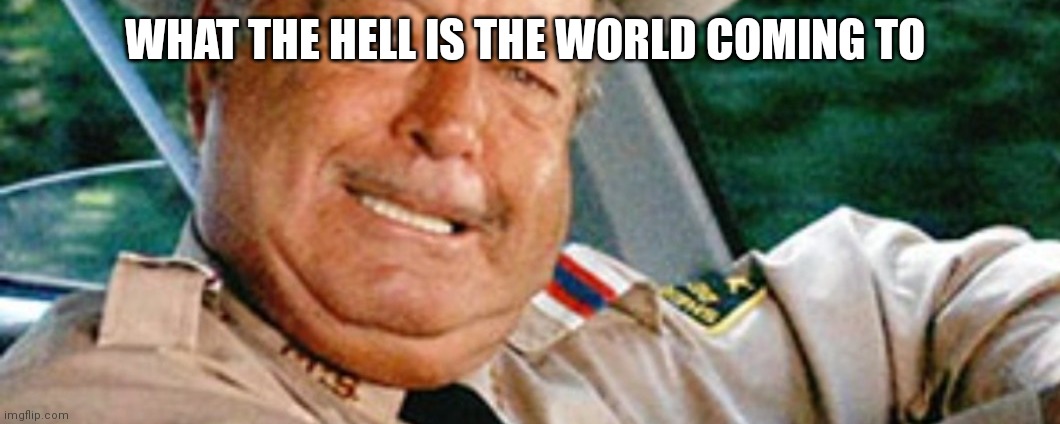 Sheriff Buford T Justice | WHAT THE HELL IS THE WORLD COMING TO | image tagged in funny memes | made w/ Imgflip meme maker