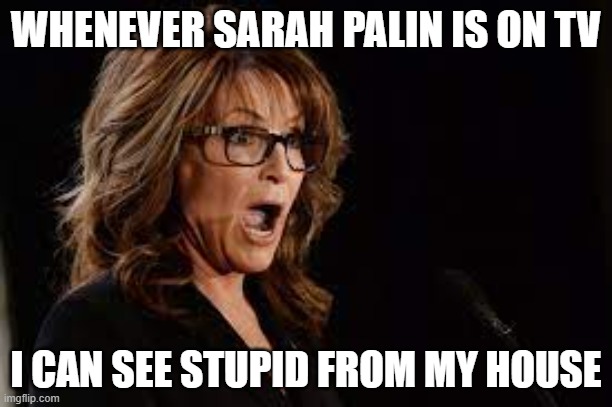 Sarah Palin | WHENEVER SARAH PALIN IS ON TV; I CAN SEE STUPID FROM MY HOUSE | image tagged in sarah palin,rethuglicans,conservatives | made w/ Imgflip meme maker