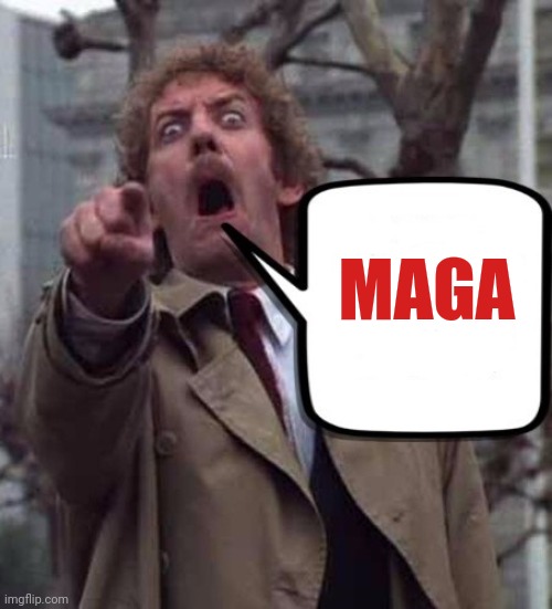 Invasion of The Body Snatchers Donald Sutherland  | MAGA | image tagged in invasion of the body snatchers donald sutherland | made w/ Imgflip meme maker
