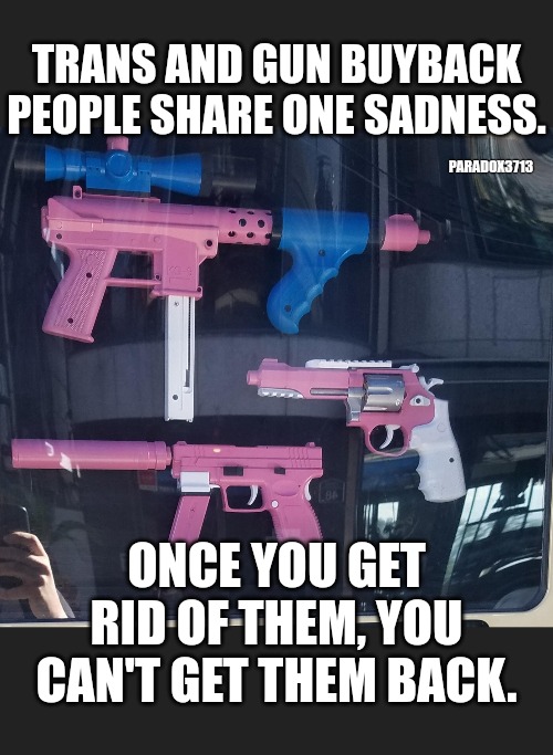 The more you know... | TRANS AND GUN BUYBACK PEOPLE SHARE ONE SADNESS. PARADOX3713; ONCE YOU GET RID OF THEM, YOU CAN'T GET THEM BACK. | image tagged in memes,politics,gun control,transgender,democrats,2nd amendment | made w/ Imgflip meme maker