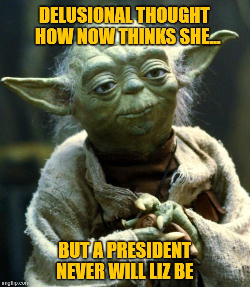 President Never Will Liz Be | DELUSIONAL THOUGHT   HOW NOW THINKS SHE... BUT A PRESIDENT NEVER WILL LIZ BE | image tagged in memes,star wars yoda,liz,cheney,delusional,not president | made w/ Imgflip meme maker