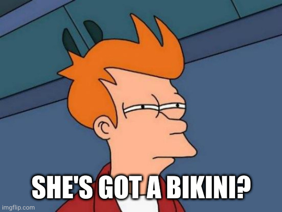 Futurama Fry Meme | SHE'S GOT A BIKINI? | image tagged in memes,futurama fry | made w/ Imgflip meme maker