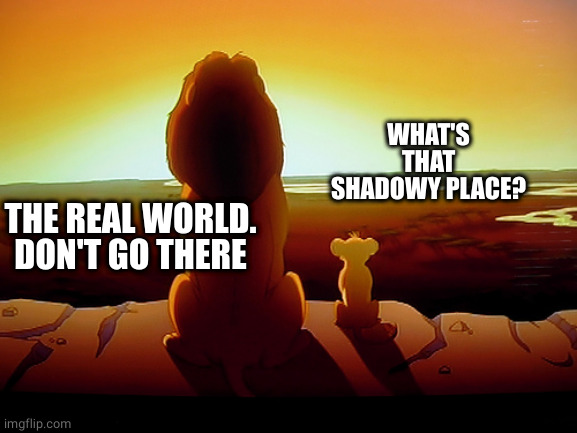 Lion King Meme | WHAT'S THAT SHADOWY PLACE? THE REAL WORLD. DON'T GO THERE | image tagged in memes,lion king | made w/ Imgflip meme maker