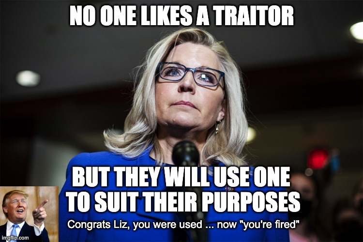 Ding Dong the witch is dead! | NO ONE LIKES A TRAITOR; BUT THEY WILL USE ONE 
TO SUIT THEIR PURPOSES; Congrats Liz, you were used ... now "you're fired" | image tagged in liz cheney,traitor,rino | made w/ Imgflip meme maker