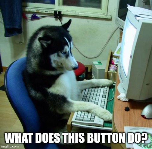 Halp, I Have No Idea What I Am Doing | WHAT DOES THIS BUTTON DO? | image tagged in memes,i have no idea what i am doing | made w/ Imgflip meme maker