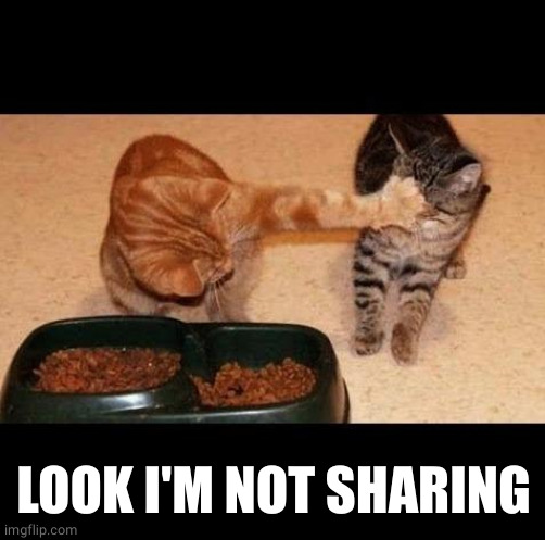 cats share food | LOOK I'M NOT SHARING | image tagged in cats share food | made w/ Imgflip meme maker