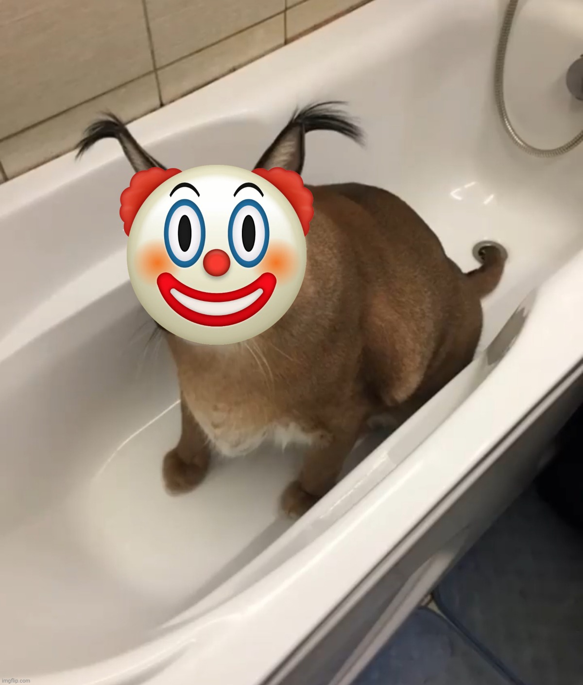 Big FLOPPA in the tub | image tagged in big floppa in the tub | made w/ Imgflip meme maker