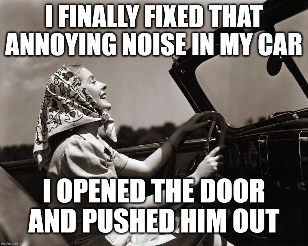 Annoying Noise |  I FINALLY FIXED THAT ANNOYING NOISE IN MY CAR; I OPENED THE DOOR AND PUSHED HIM OUT | image tagged in retro,woman,driving | made w/ Imgflip meme maker