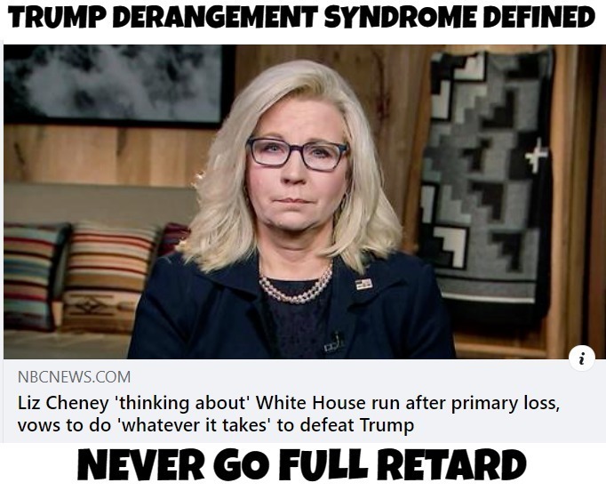 Trump Derangement Syndrome Defined - Imgflip