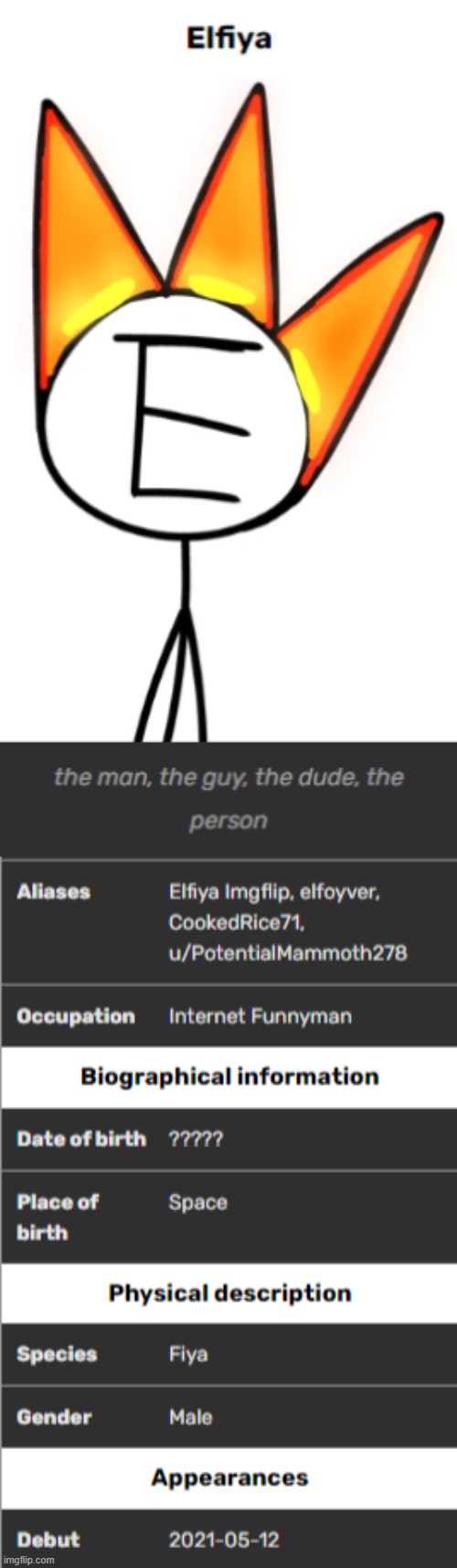 I'm making an elfiya wiki rn | made w/ Imgflip meme maker