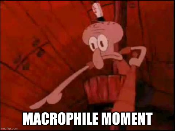 Squidward pointing | MACROPHILE MOMENT | image tagged in squidward pointing | made w/ Imgflip meme maker