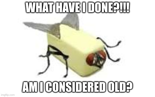  WHAT HAVE I DONE?!!! AM I CONSIDERED OLD? | image tagged in butterfly,oh the humanity | made w/ Imgflip meme maker