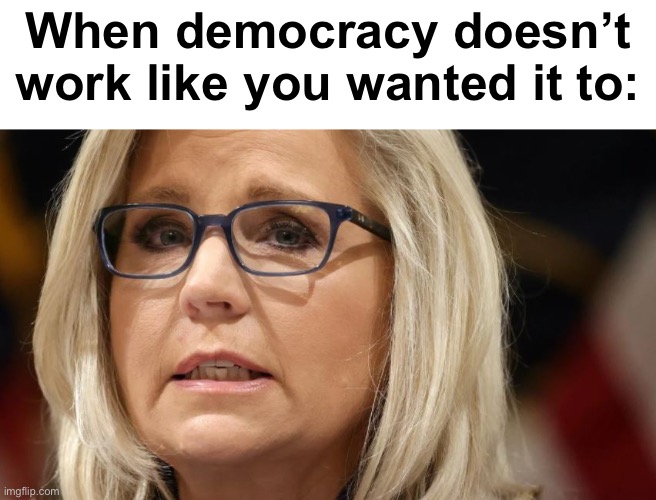 The face you make | When democracy doesn’t work like you wanted it to: | image tagged in liz cheney,politics lol,memes | made w/ Imgflip meme maker