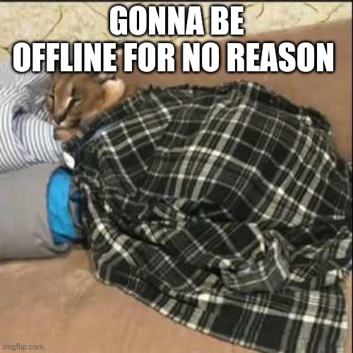 Floppa sleeping | GONNA BE OFFLINE FOR NO REASON | image tagged in floppa sleeping | made w/ Imgflip meme maker