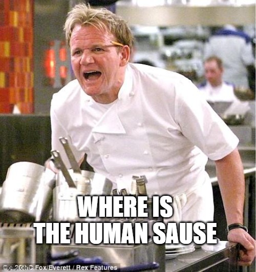 Chef Gordon Ramsay Meme | WHERE IS THE HUMAN SAUSE | image tagged in memes,chef gordon ramsay | made w/ Imgflip meme maker