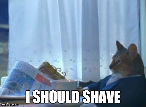 I Should Buy A Boat Cat | I SHOULD SHAVE | image tagged in memes,i should buy a boat cat | made w/ Imgflip meme maker