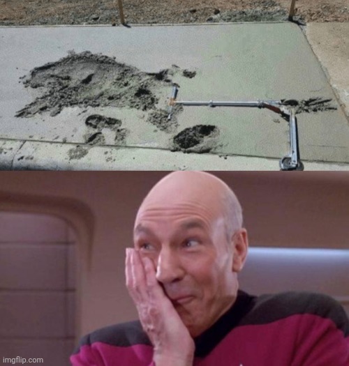Cement, oops | image tagged in picard oops,you had one job,cement,scooter,scooters,memes | made w/ Imgflip meme maker