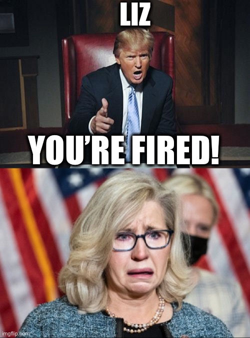 Don’t let the door hit ya! | LIZ; YOU’RE FIRED! | image tagged in trump fires,liz cheney | made w/ Imgflip meme maker
