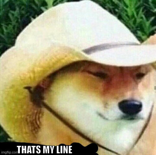 What in tarnation dog | THATS MY LINE | image tagged in what in tarnation dog | made w/ Imgflip meme maker