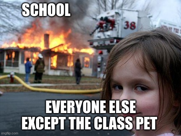 do not like school | SCHOOL; EVERYONE ELSE EXCEPT THE CLASS PET | image tagged in memes,disaster girl | made w/ Imgflip meme maker