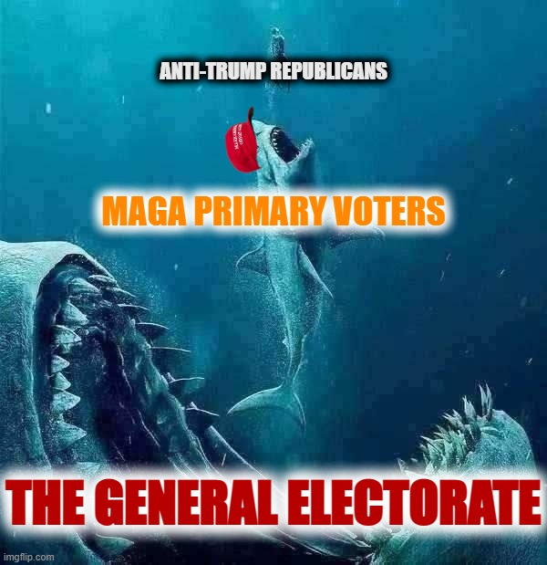 Those insufficiently loyal to Trump are getting bounced out of the GOP. But "there's always a bigger fish..." | ANTI-TRUMP REPUBLICANS; MAGA PRIMARY VOTERS; THE GENERAL ELECTORATE | image tagged in bigger fish | made w/ Imgflip meme maker
