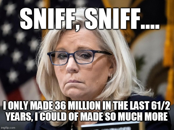 SNIFF SNIFF | SNIFF, SNIFF.... I ONLY MADE 36 MILLION IN THE LAST 61/2
YEARS, I COULD OF MADE SO MUCH MORE | image tagged in liz chaney,wy,loser,gop,rino | made w/ Imgflip meme maker