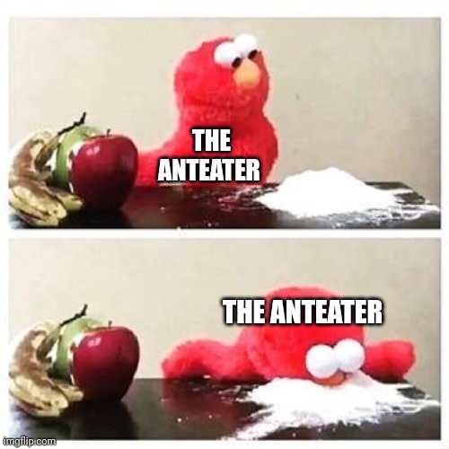 elmo cocaine | THE ANTEATER THE ANTEATER | image tagged in elmo cocaine | made w/ Imgflip meme maker