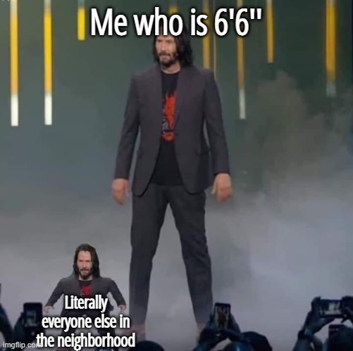 fr | Me who is 6'6''; Literally everyone else in the neighborhood | image tagged in keanu and mini keanu | made w/ Imgflip meme maker
