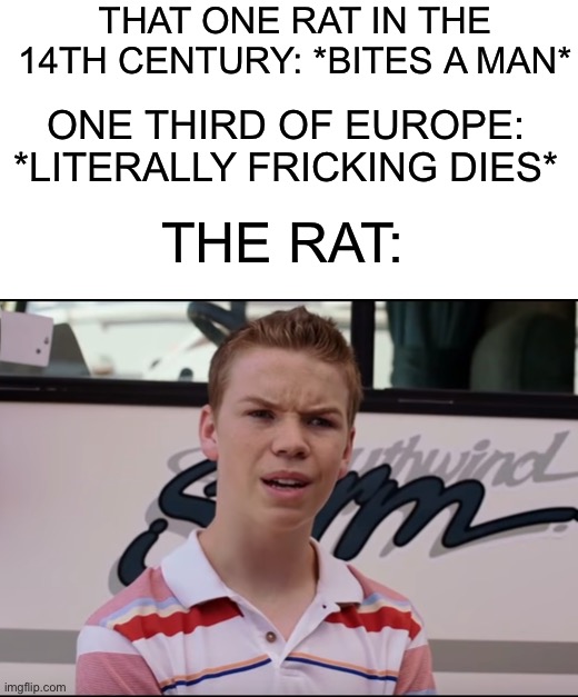 “How did this happen?” | THAT ONE RAT IN THE 14TH CENTURY: *BITES A MAN*; ONE THIRD OF EUROPE: *LITERALLY FRICKING DIES*; THE RAT: | image tagged in you guys are getting paid,memes,funny,rat,plague,wtf | made w/ Imgflip meme maker
