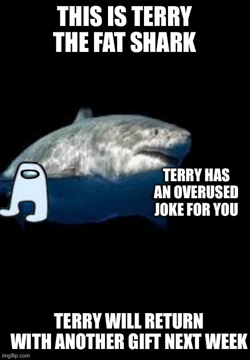 Terry the fat shark template | THIS IS TERRY THE FAT SHARK; TERRY HAS AN OVERUSED JOKE FOR YOU; TERRY WILL RETURN WITH ANOTHER GIFT NEXT WEEK | image tagged in terry the fat shark template | made w/ Imgflip meme maker
