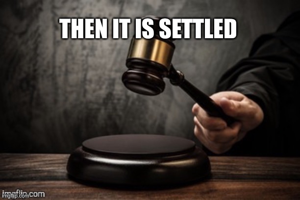 THEN IT IS SETTLED | image tagged in court | made w/ Imgflip meme maker