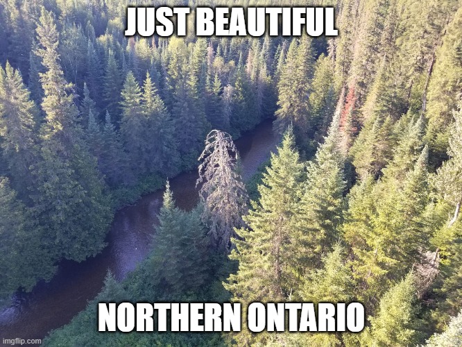 view from 100 ft bridge | JUST BEAUTIFUL; NORTHERN ONTARIO | image tagged in fun | made w/ Imgflip meme maker